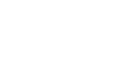 The Ally Coalition